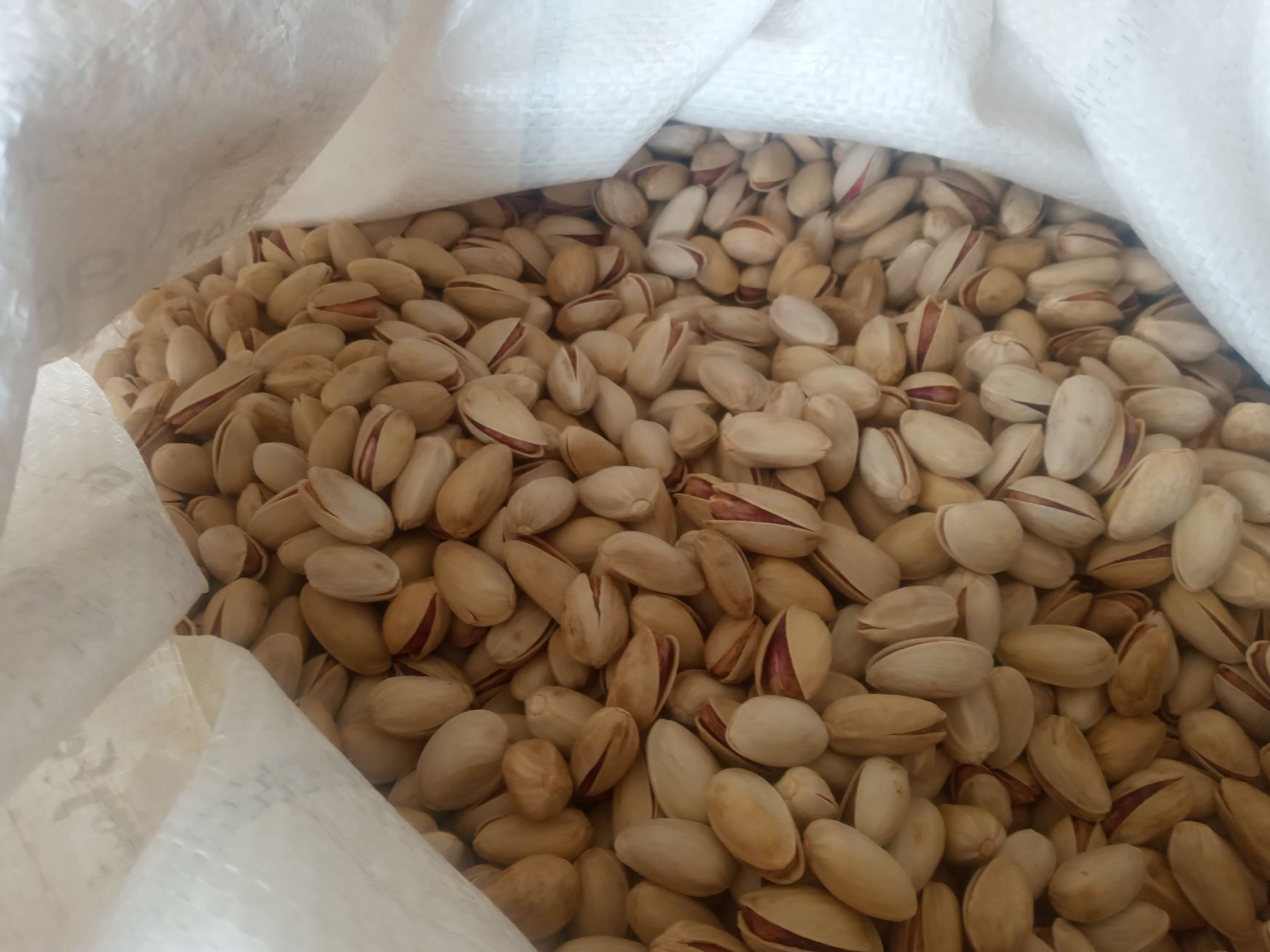 پسته تمام خندان